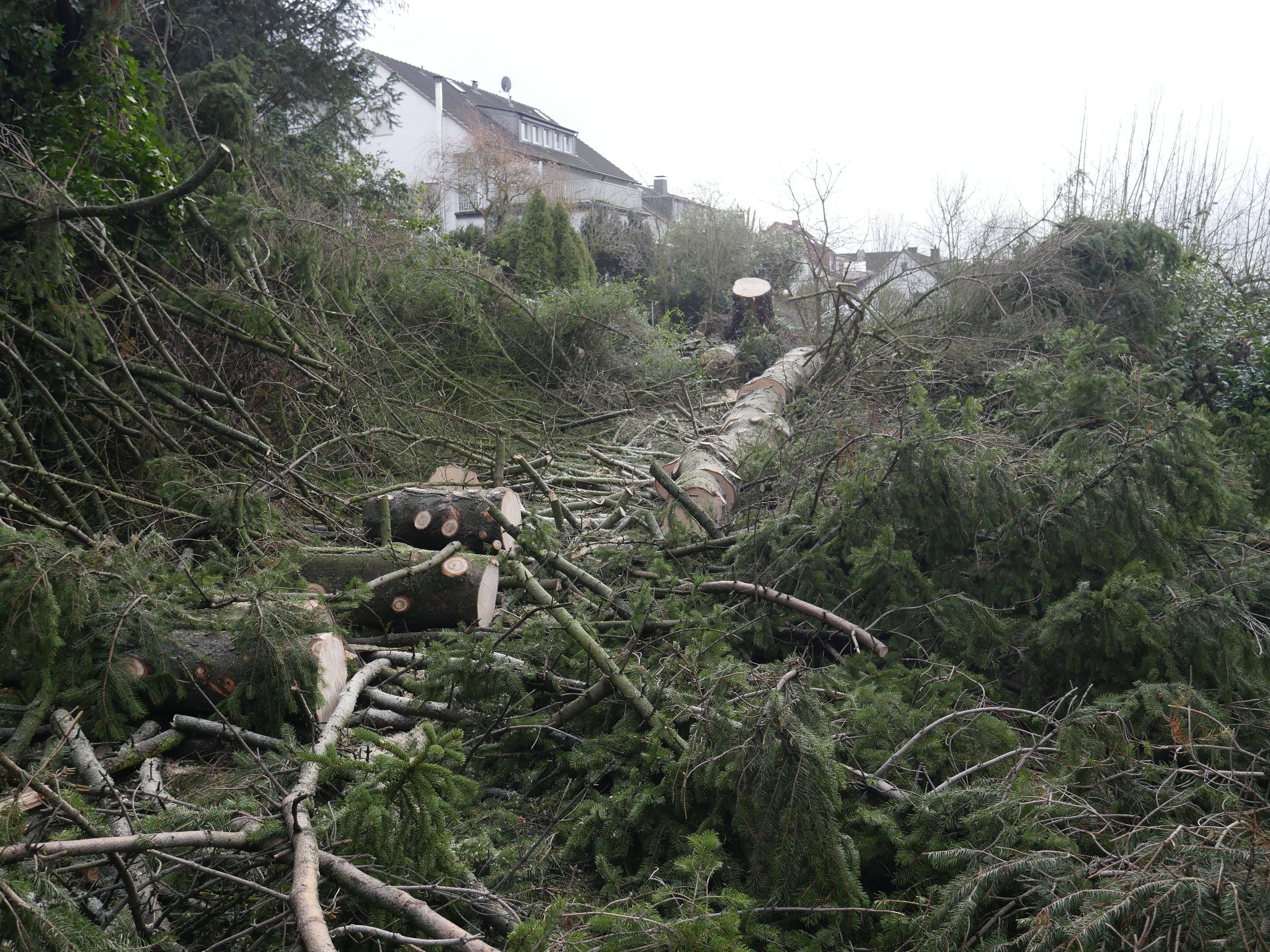 Infos zur Vogelschutzzeit